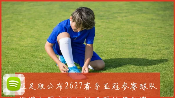 亚足联公布2627赛季亚冠参赛球队海港与国安将征战亚冠精英联赛